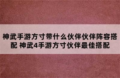 神武手游方寸带什么伙伴伙伴阵容搭配 神武4手游方寸伙伴最佳搭配